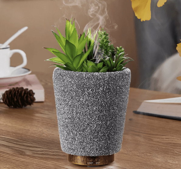 Plant humidifier