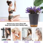Plant humidifier lifestyle