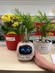 Smart Flowerpot - Ivy Plantagotchi photo review