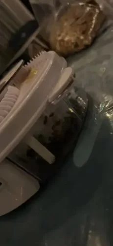 Automatic Fly Catcher - Get Rid of Flies photo review