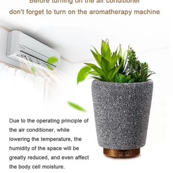 Plant humidifier design
