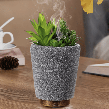 Plant humidifier